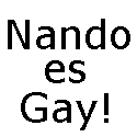Nando es gay